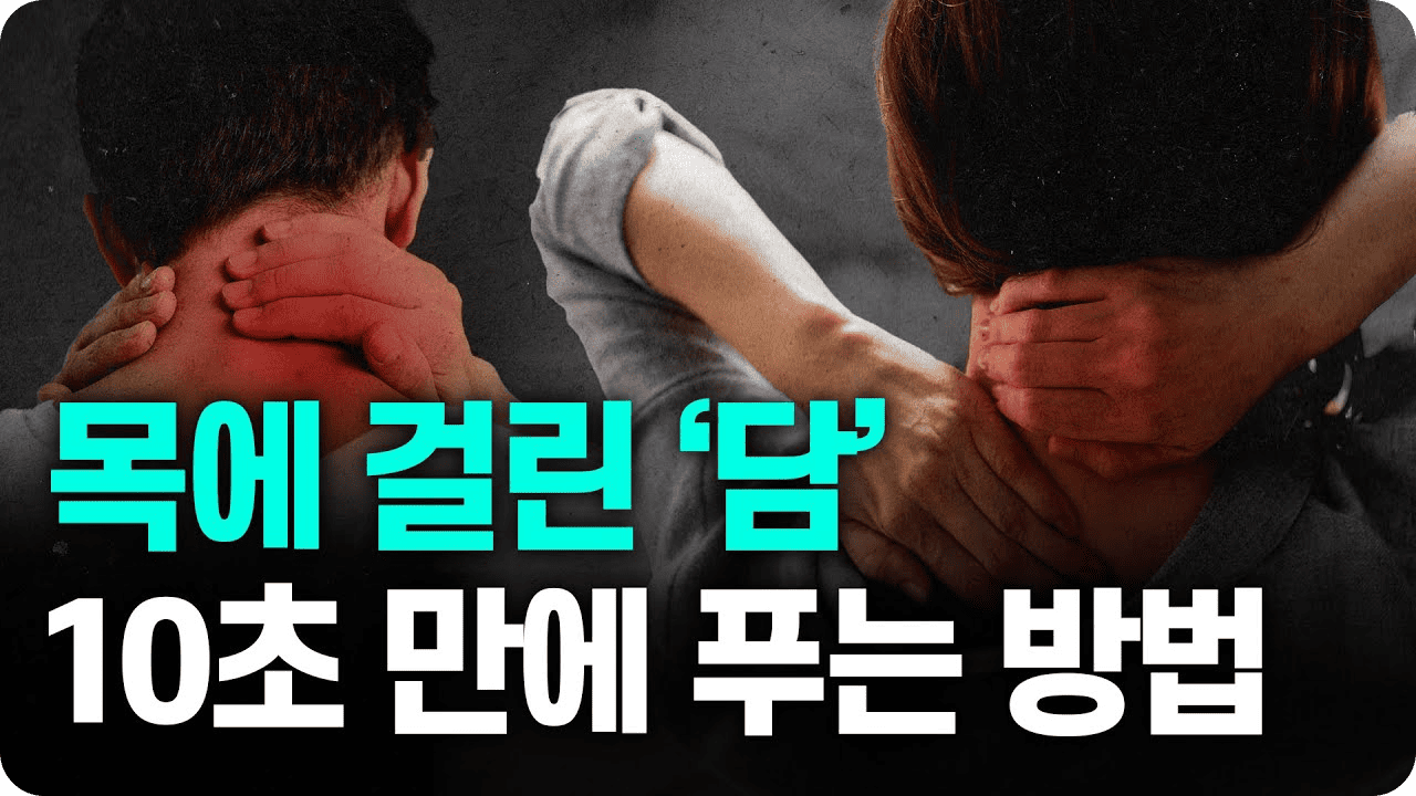 백발백중 정형외과 9 유튜브9